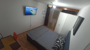 Nicole Magic Apartment- Timișoara